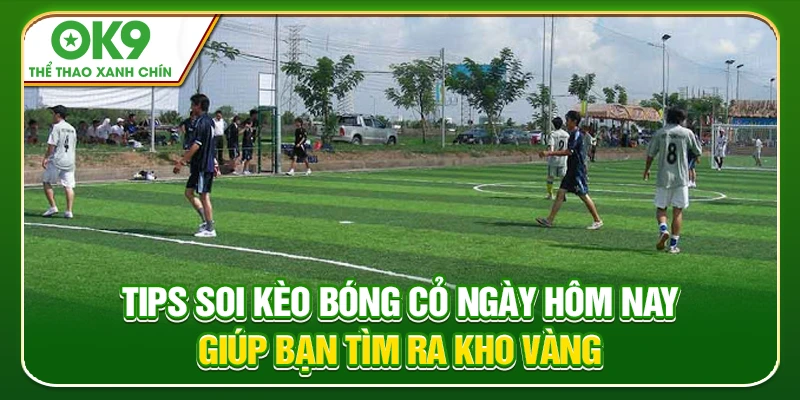 Hiểu rõ tips soi kèo bóng cỏ ngày hôm nay sẽ giúp bạn làm giàu nhanh chóng